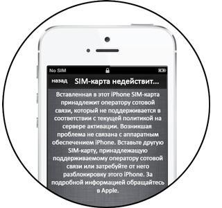 c135bd997b3c4b6990fc730297dd06e2.jpg
